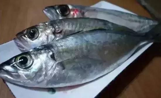 海南,热带风情的魅力四溢之旅!